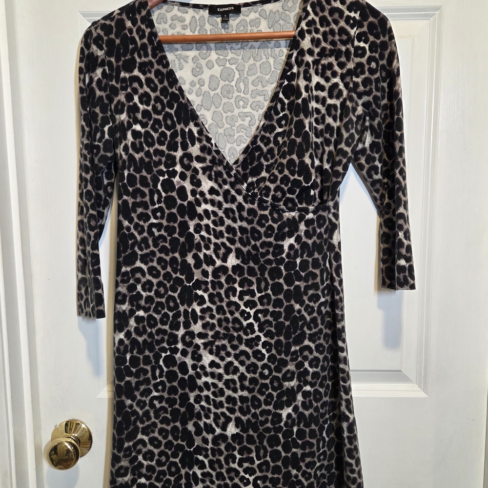 Express Leopard Print V-Neck Dress